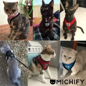 Arnés ajustable de malla poliéster para Gatos